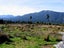0 Bruce Bay, Bruce Bay, Haast - Carousel 4