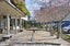 14 Tiaki Lane, Matakana, Matakana - Carousel 8