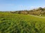 3 James Joseph Lane, Matakana - Carousel 1