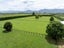 1503 Alexandra Road, Waharoa, Waharoa - Carousel 30