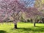 290 Queen Elizabeth II Drive, Mairehau, Christchurch City, Canterbury - Carousel 28