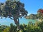 1999 Wyuna Bay Road, Wyuna Bay, Coromandel - Carousel 13