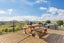 12 Tiro Kina Road, Tasman - Carousel 9