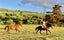 210C Okauia Springs Road, Okauia, Matamata - Carousel 23