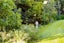 1135 Scenic Drive North, Swanson, Auckland - Carousel 26