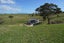 127 Wallace Road, Temple View, Hamilton - Carousel 33