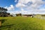 640 Inland Road, ONAERO, WAITARA - Carousel 33