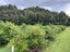 0 State Highway 7, Ikamatua, Blackball - Carousel 10