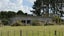 33 Signal Road, Okaihau, Okaihau - Carousel 4
