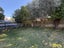 11 Arabi Street, Sandringham, Auckland City, Auckland - Carousel 15