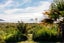 257A Pohutukawa Avenue, Ohope, Ohope - Carousel 26