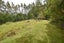 317 Leith Valley Road, Leith Valley, Dunedin - Carousel 24