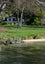113 Spencer Road, Lake Tarawera, Rotorua - Carousel 26