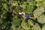 5 Paturoa Road, Titirangi, Auckland - Carousel 25