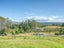 445 Lake Kaniere Road, BLUE SPUR, HOKITIKA - Carousel 20