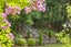 9 Helland Drive, Drury - Carousel 22
