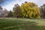22 Young Lane, Clyde, Central Otago, Otago - Carousel 42