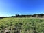 395F Rutherglen Road, Marsden, Greymouth - Carousel 3