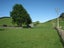 3 Mcmillan Road, TIRAU, Tirau - Carousel 21