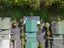 5/1 Ash Grove Circle, Haruru, Haruru - Carousel 13