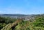 69 Central Terrace, Kelburn, Wellington - Carousel 14