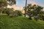 105 Waitakere Road, Waitakere, Auckland - Carousel 36