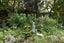 87 Kent Street, Carterton - Carousel 26