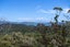 1090 Driving Creek Road, Coromandel - Carousel 8