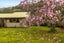 420 Wakamarina Road, Canvastown - Carousel 15