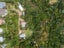 37B Ocean Road, Surfdale, Waiheke Island - Carousel 27
