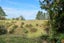 670 Kapukapu Road, Rotorua - Carousel 42