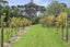 152K Parker Road, Oratia, Auckland - Carousel 23