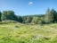 445 Lake Kaniere Road, BLUE SPUR, HOKITIKA - Carousel 17