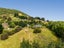 13 Mcmaster Road, Saddle Hill, Dunedin - Carousel 25