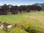 324 Pigeon Flat Road, Upper Waitati, Waitati - Carousel 18