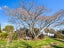 2280 Moutere Highway, Lower Moutere, Upper Moutere - Carousel 35
