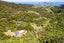 820 Colville Road, Amodeo Bay, Coromandel - Carousel 3
