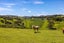 88A Onetangi Road, Onetangi, Waiheke Island, Auckland - Carousel 12