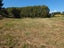 35 Wylie Road, Foxton Beach, Foxton - Carousel 17