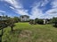 15 Miro Streer, Kerepehi, Hauraki, Waikato - Carousel 14
