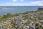 296 Hillsborough Road, Hillsborough, Auckland - Carousel 22