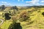 1350 State Highway 12, Oue, Kaikohe - Carousel 40