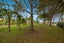 1688 South Head Road, Helensville - Carousel 46