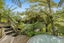 35 Durham Street, Picton - Carousel 24