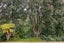 31 Opoia Road, Hamilton East, Hamilton, Waikato - Carousel 5