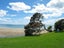 1/4 Elizabeth Place, Mairangi Bay, Auckland - Carousel 33