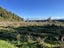 0 State Highway 7, Ikamatua, Blackball - Carousel 14