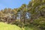 645 West Coast Road, Makarau, Warkworth - Carousel 8