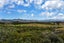 73 Te Puea Avenue, Meremere - Carousel 20