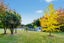 9 Faith Place, Christchurch - Carousel 24